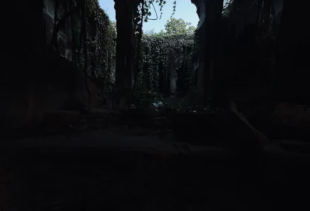 Overgrown dark passage evoking a dangerous fantasy world