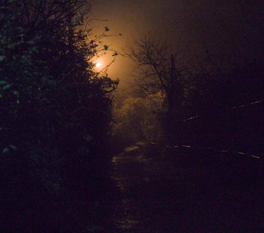 Misty landscape evoking uncanny strange fiction