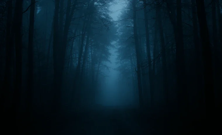 Eerie forest in blue light suggesting strange and weird fiction